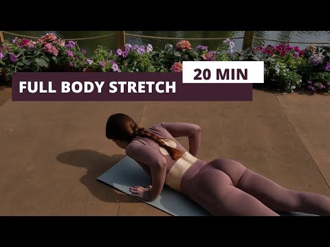Видео: СТРЕТЧИНГ НА ВСЁ ТЕЛО / 20 MIN FULL BODY STRETCH