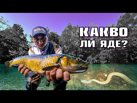 Видео: РАЗБИВАЩ РИБОЛОВ на  ЛАКОМИ КЕФАЛИ !!!