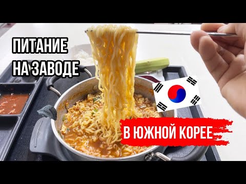Видео: Питание на заводе в Южной Корее