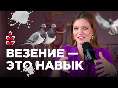 Видео: Почему одним всегда везёт, а другим нет — я знаю, как это исправить / Колосок