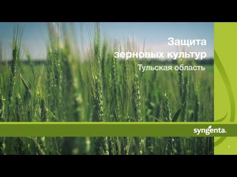 Видео: Защита зерновых культур. Часть 1. Тульская область