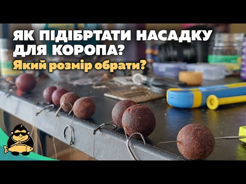 Видео: Як вибрати розмір насадки на коропа. Ловля коропа на дикарі взимку на Різдво