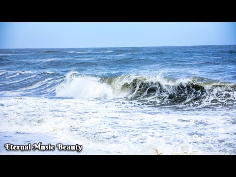 Видео: Я плакала, когда услышала эту песню🎶Мелодия души🎶Лучший сборник мелодий Сергея Грищука