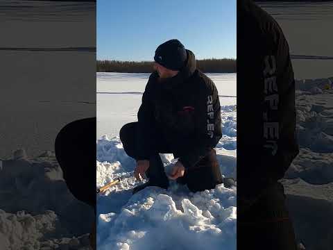 Видео: КРУПНЫЙ УЛОВ НА ЖЕЛИЦУ. #жерлица #рыбалка