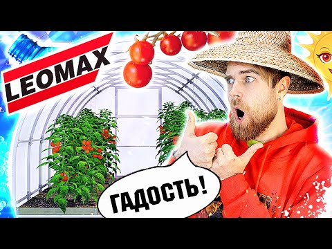 Видео: Позорный ПАРНИК богатый УРОЖАЙ и леггинсы ДЛЯ похудения от ЛЕОМАКС - Треш ОБЗОР телемагазинов