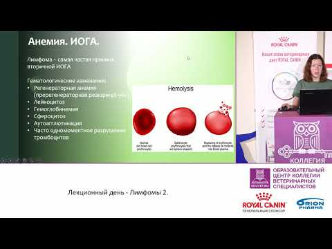 Видео: Корытина Т. А. - Паранеопластические синдромы