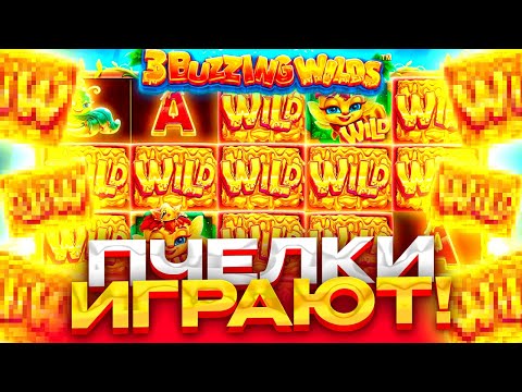 Видео: 3 BUZZING WILDS ПЧЕЛИНЫЙ БЕЗПРЕДЕЛ !!! ПОКУПАЕМ ВСЕ ВИДЫ БОНУСОВ !!!