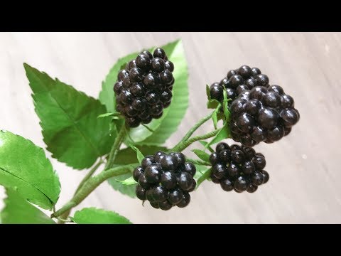 Видео: ABC TV | Как сделать Blackberry Fruit - Easy Craft Tutorial