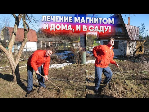 Видео: Лечение магнитом - и дома и в саду!