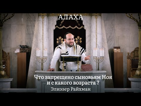 Видео: Что запрещено сыновьям Ноаха и с какого возраста