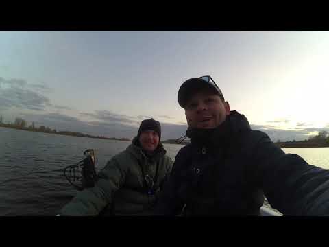 Видео: Ловля на джиг на Каме в Боярке.