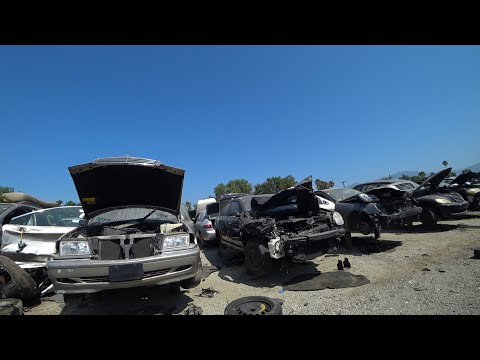Видео: Приехали на Джанк Ярд ( Junk Yard ) в Лос - Анджелесе.