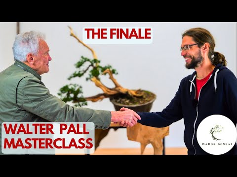 Видео: Два поколения, один мастер-класс: последний урок Уолтера