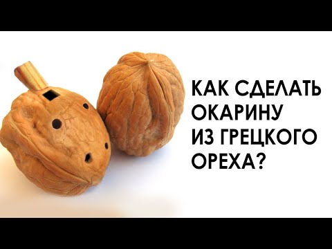Видео: Окарина из грецкого ореха. Как сделать простой музыкальный инструмент