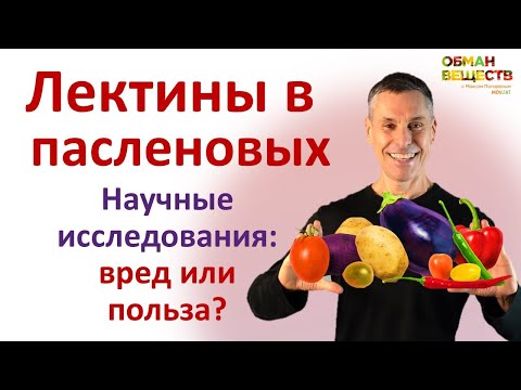 Видео: Лектины в пасленовых: наука про их пользу и вред. Безлектиновых диет не существует!