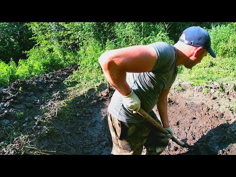 Видео: Копаю у ручья пруд лопатой (1 часть) Дорыл до воды.