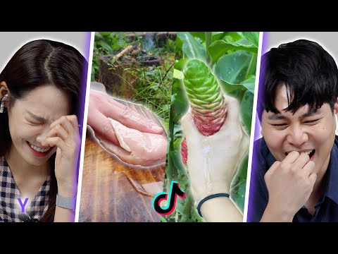 Видео: Корейский парень и девушка реагируют на песню TikTok "Guess Wrong" (ft. Dirty Mind) | Y
