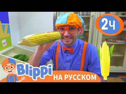 Видео: Детский музей «Глейзер» | Изучай этот мир вместе с Блиппи | Blippi Russian