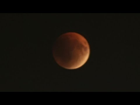 Видео: Адвокатская монополия и новый виток патетических антитез лоббистов