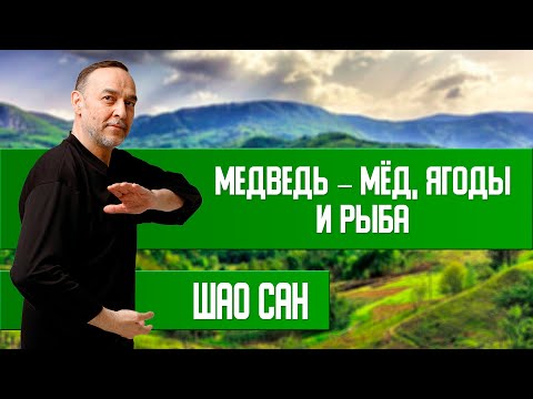 Видео: Игра 5 Зверей — Стихия Земля — Медведь