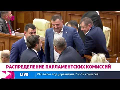 Видео: В новом парламенте создадут 12 постоянных комиссий