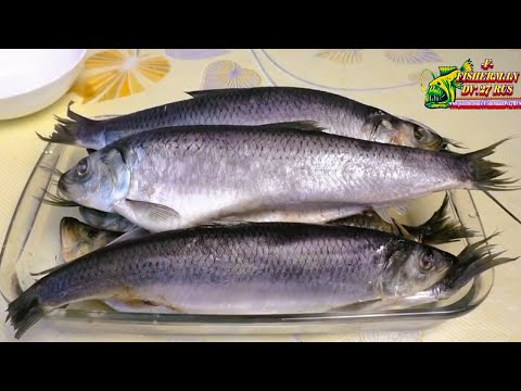 Видео: ЗАБЫТЫЙ РЕЦЕПТ, пряной малосольной селёдки из СССР по ГОСТу 1084, букет №6 .