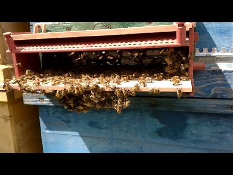 Видео: Электроснабжение Пасеки / Солнечные панели / Фотон / АЭлектроника