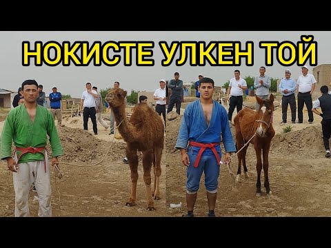 Видео: НОКИС КАЛАСЫНДА КУРЛЫ ТОЙ 4-МАЙ 2024-ЖЫЛ