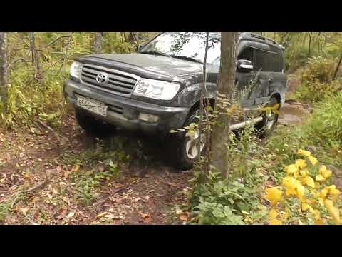 Видео: Царская о. Русский октябрь 2022