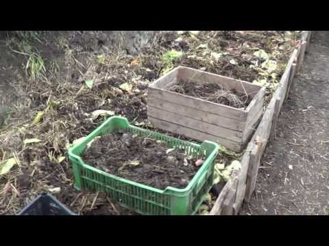 Видео: АТ21 Калифорнийские черви. Лёгкая адаптация к новому корму