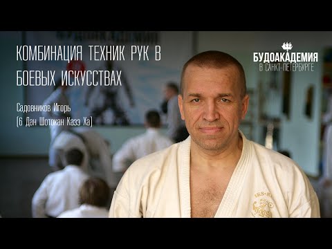 Видео: Комбинация техник рук в боевых искусствах. Садовников Игорь