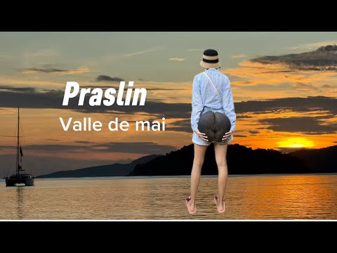 Видео: Сейшелы- остров Praslin, самые огромные кокосы 🥥 