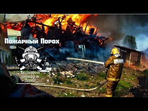 Видео: Большой пожар в Доме. Спасение животных из огня.