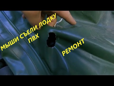 Видео: Мыши съели лодку ПВХ КОРСАР 270