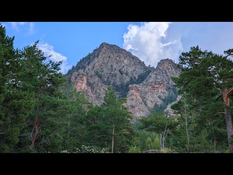 Видео: Каркаралинск. Лес. Горы. #каркаралинск  #природаказахстана