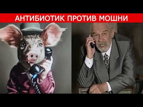 Видео: Спокойно заполнИли заявку