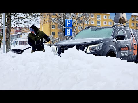 Видео: В маленькой Эстонии большой снежный коллапс. Скупили все лопаты.