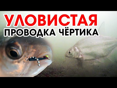 Видео: УЛОВИСТАЯ ПРОВОДКА ЧЕРТИКА / Зимняя рыбалка Раубичи Дубровское вдхр