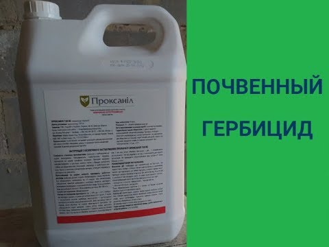 Видео: ПОЧВЕННЫЙ ГЕРБИЦИД ПОД ПОДСОЛНУХ