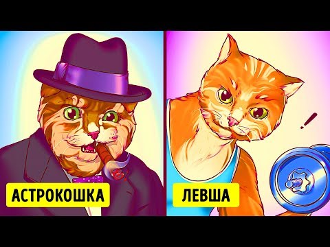 Видео: 30+ фактов о кошках, которые делают их лучше людей