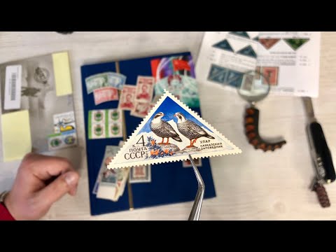 Видео: Филателия. Марки СССР и колоний - пополнения в коллекцию