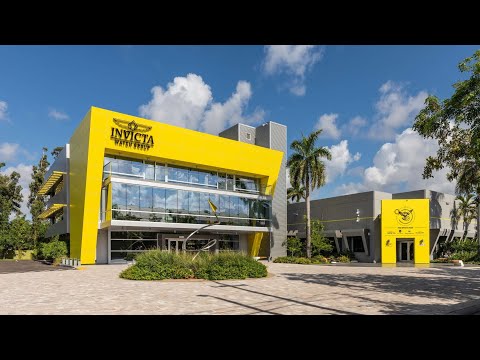 Видео: 42.Invicta-лучшие часы? Рассказ про бренд Invicta