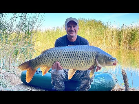 Видео: ВОТ ЭТО РЫБАЛКА ! ЗАБРАЛИСЬ В ТАКИЕ ДЕБРИ ГДЕ ВОДЯТСЯ ОГРОМНЫЕ САЗАНЫ