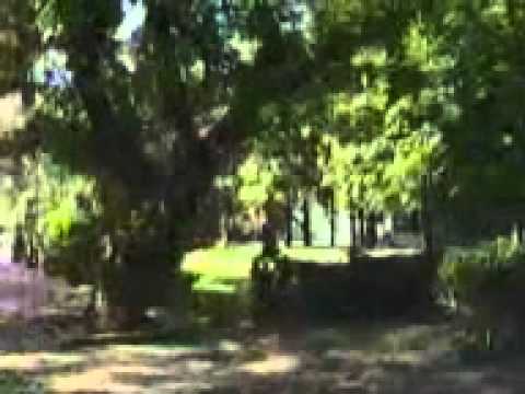 Видео: Поколение Х - Мой город.3gp