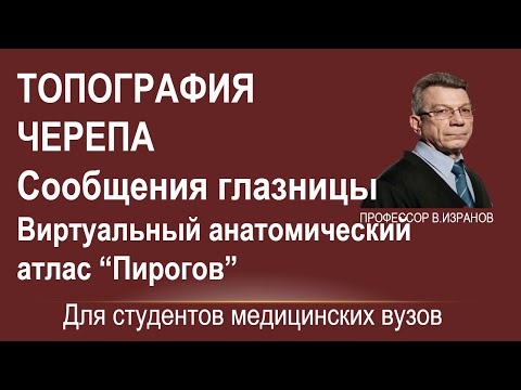 Видео: Топография черепа. Сообщения глазницы.