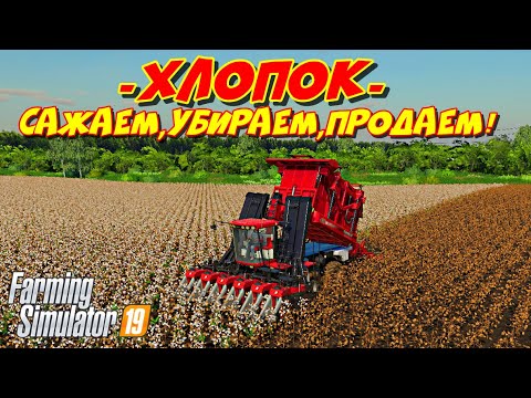 Видео: Farming simulator 2019 хлопок  сажаем,убираем,продаем (we plant,harvest,and sell cotton)
