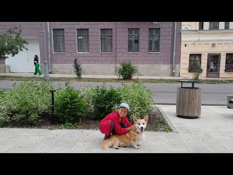 Видео: Как мы проводили время в деревне.