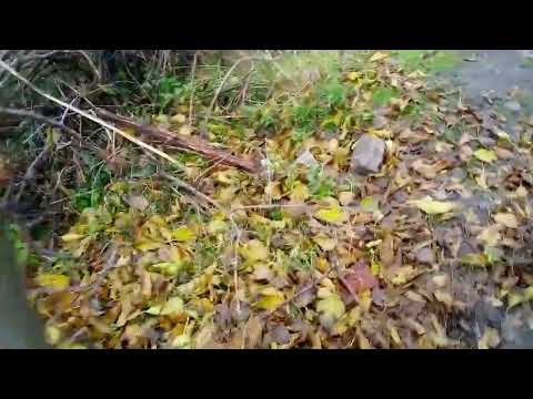 Видео: 35 часть про базу 