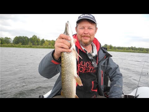 Видео: За травянкой на Лесное озеро. Щучки на "Атом" и вертушки.