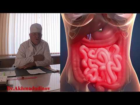 Видео: 4я часть. Брюшная полость. (топография)  Профессор Ахмадудинов М.Г. ДГМУ